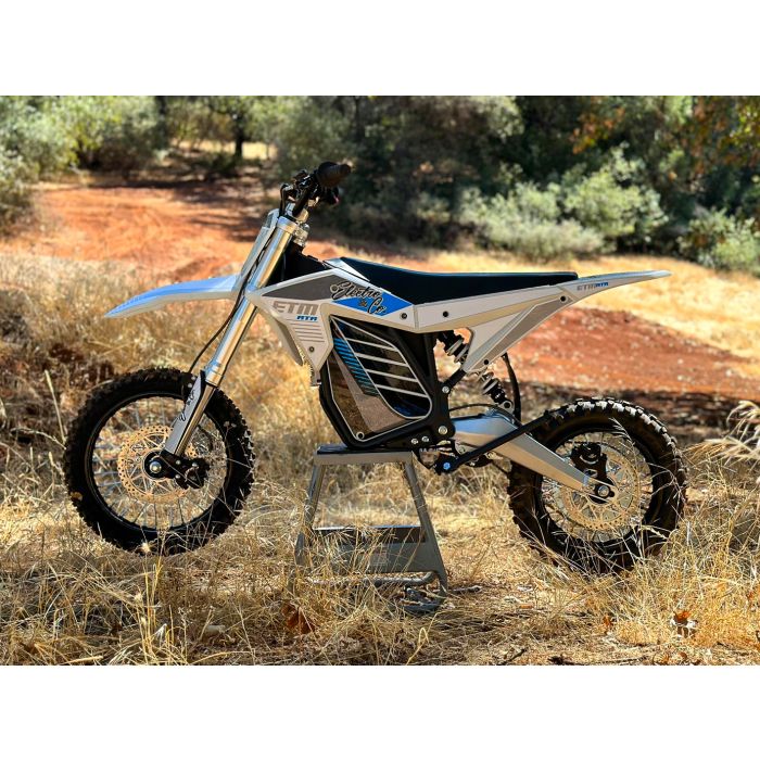 Electro & Co ELECTRIC BIKE RT-R