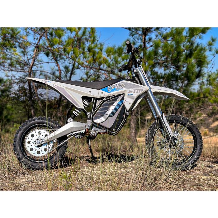 Electro & Co ELECTRIC BIKE RT-R
