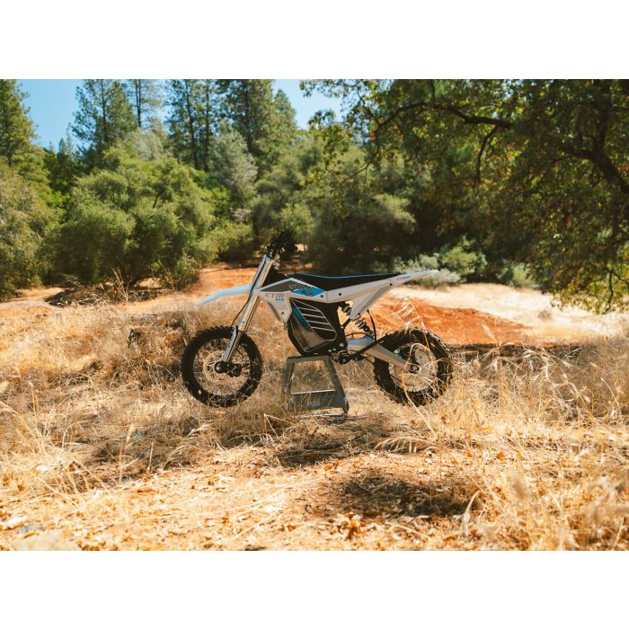 Electro & Co ELECTRIC BIKE RT-R
