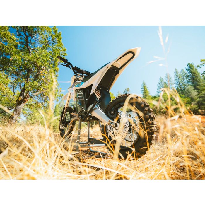 Electro & Co ELECTRIC BIKE RT-R