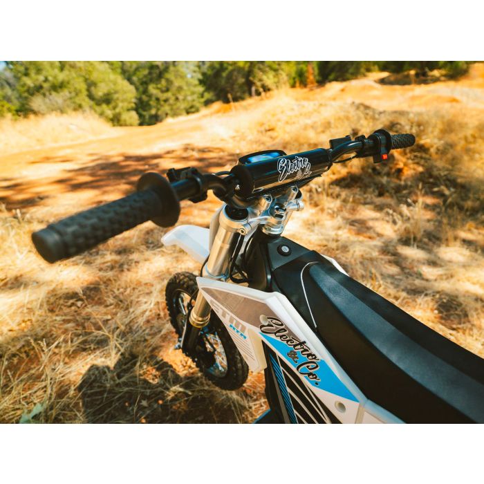 Electro & Co ELECTRIC BIKE RT-R