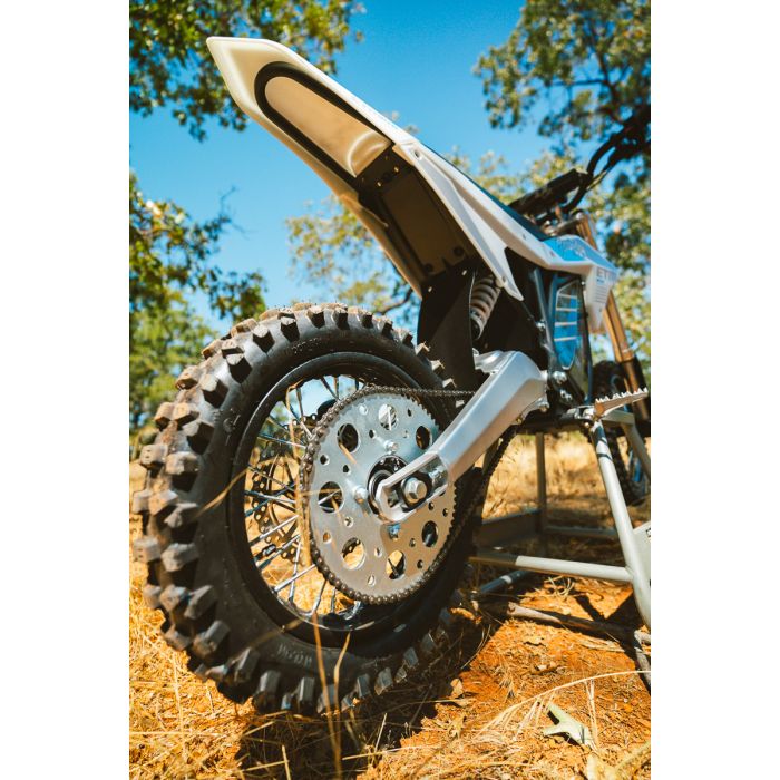 Electro & Co ELECTRIC BIKE RT-R