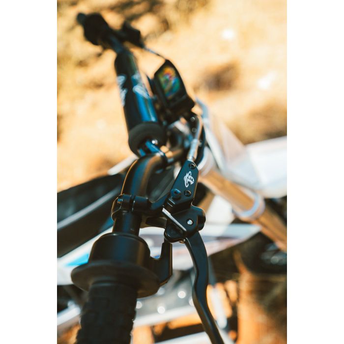 Electro & Co ELECTRIC BIKE RT-R