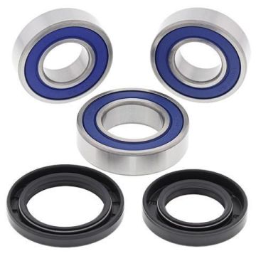 ALL BALLS WHEEL BEARING KIT REAR GAS-GAS EC125-300 03-20, EC250F-450F 10-15