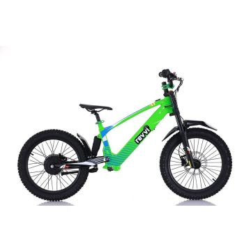 REVVI 20" ELECTRIC BIKE GREEN