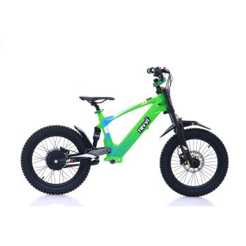 REVVI 18" ELECTRIC BIKE GREEN  